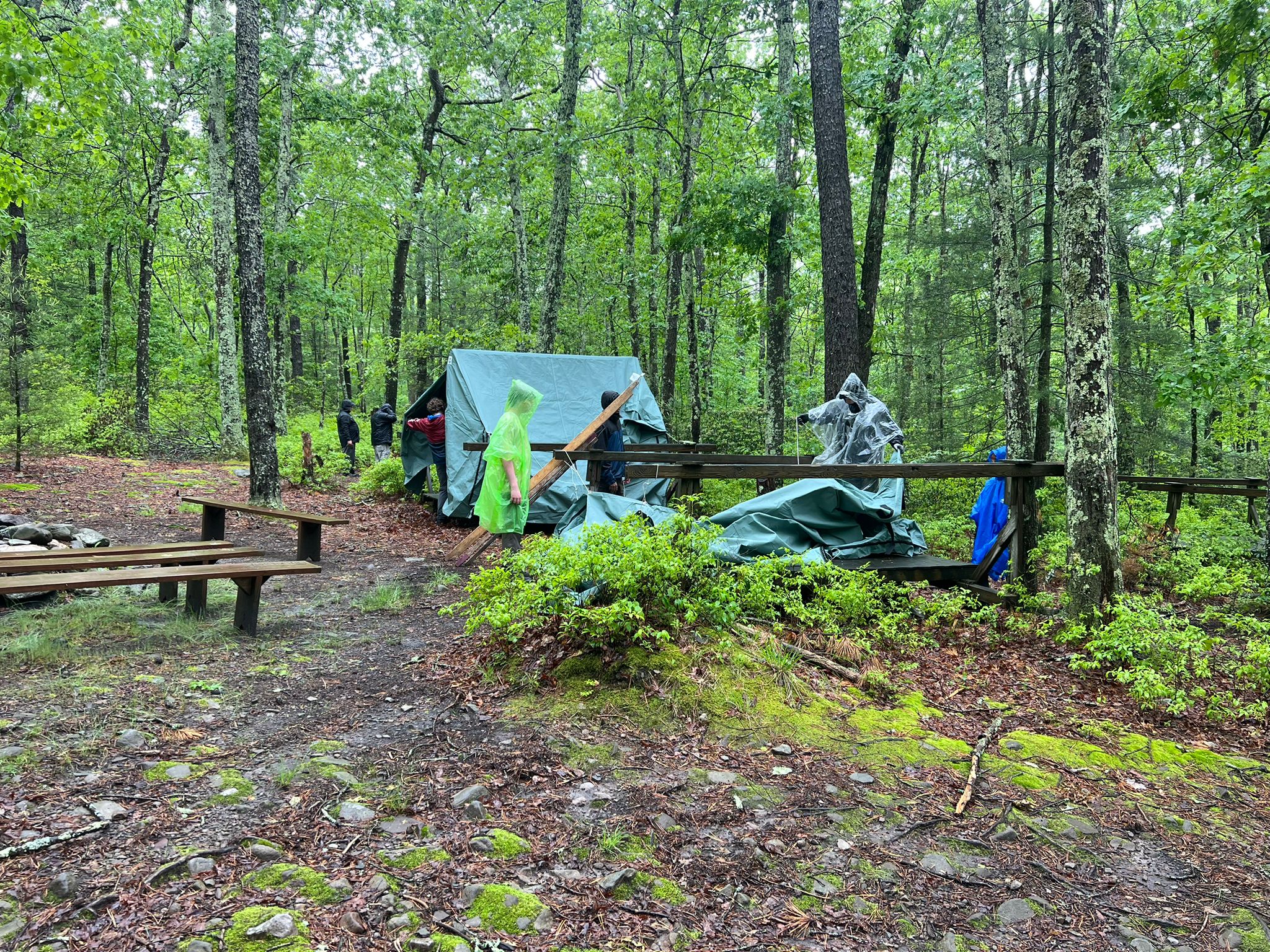 IMG-20250531-WA0008
