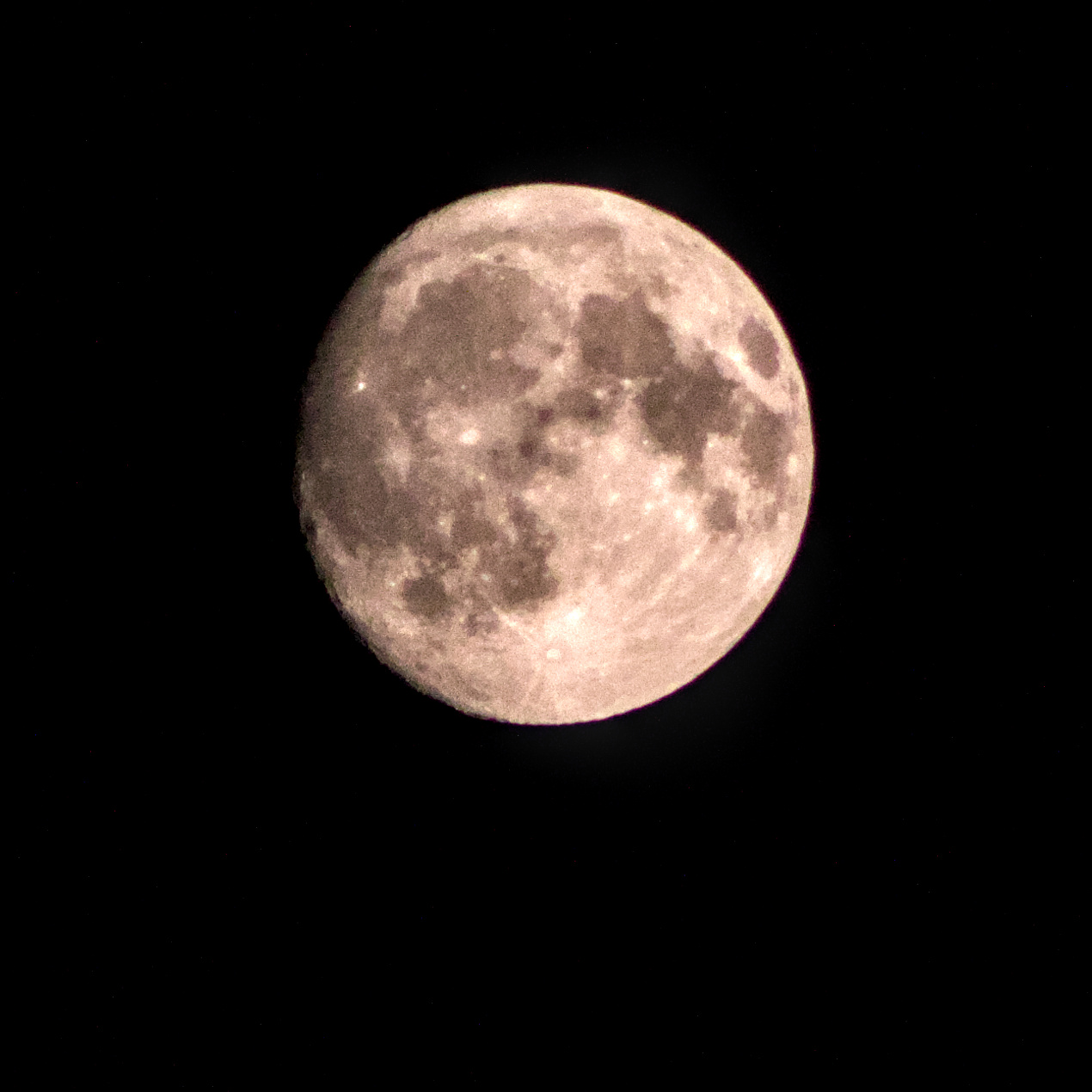 IMG_3712